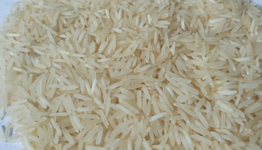 rice1